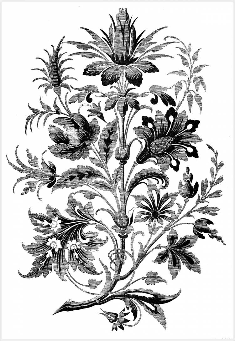 ornamenti rococo