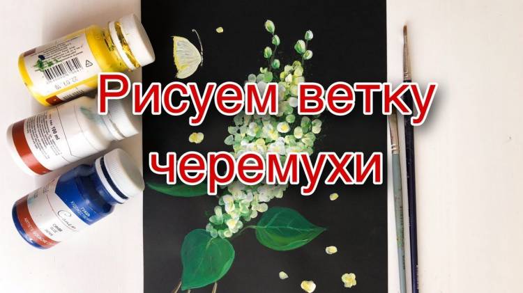 Рисуем ветку черемухи