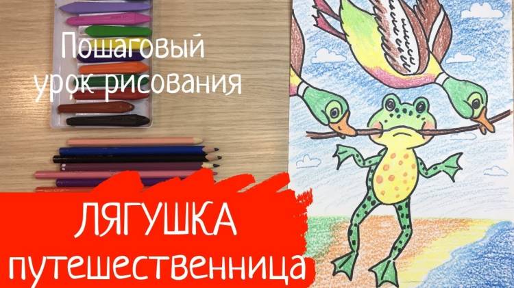 Лягушка рисунок лягушка путешественница