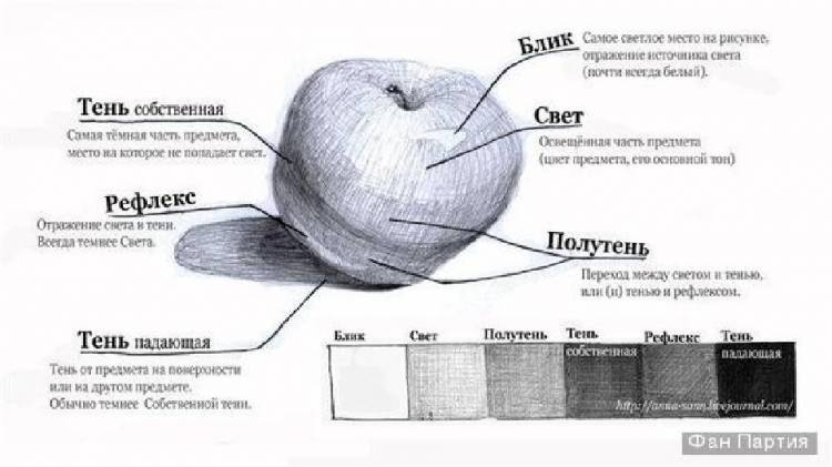 Образные возможности освещения в портрете