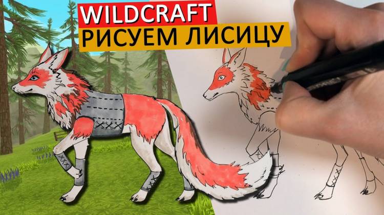 КАК НАРИСОВАТЬ ЛЕГЕНДАРНУЮ ЛИСУ ИЗ WILDCRAFT