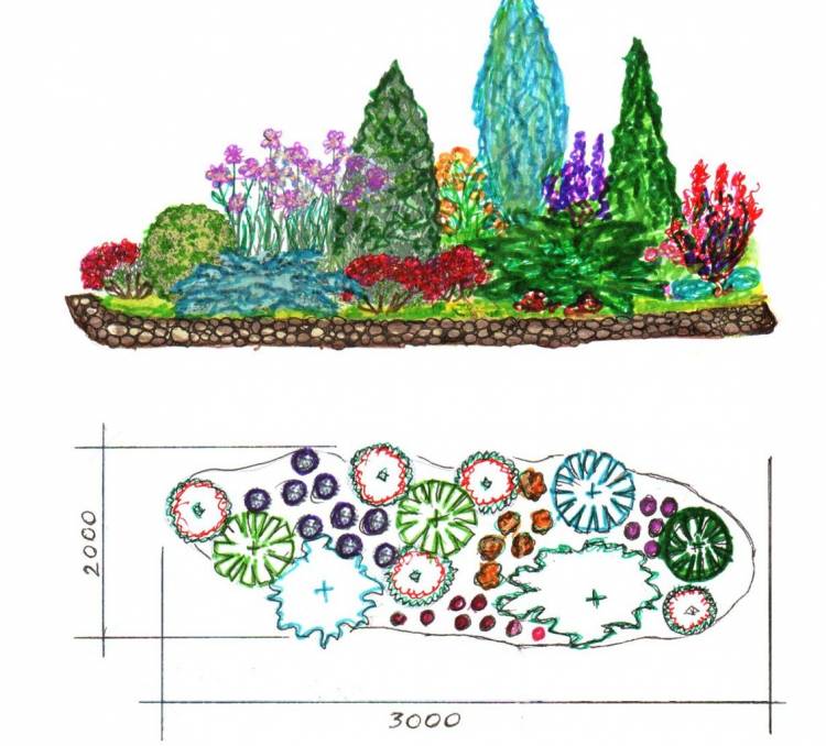 Эскиз клумбы