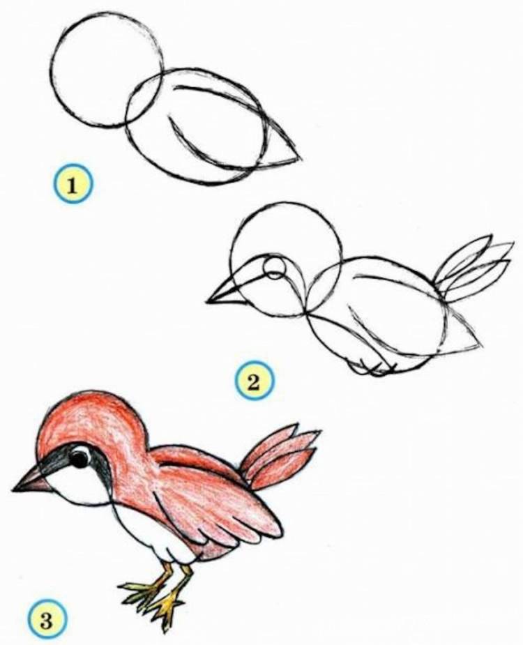 Рисунок воробья для детей поэтапно
