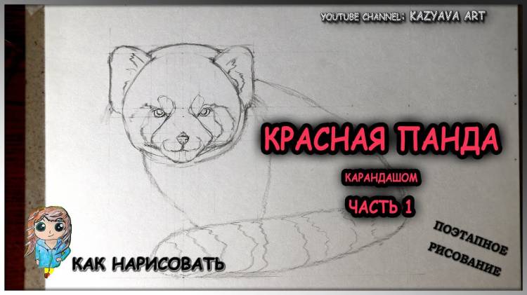 Как нарисовать КРАСНУЮ ПАНДУ карандашом