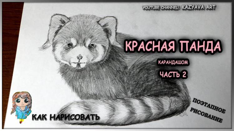 Как нарисовать шерсть Красной панде