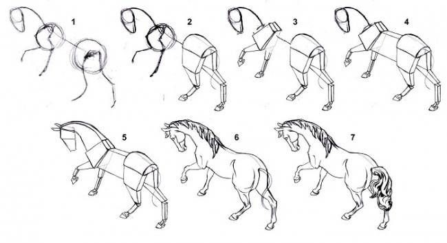 рисунков лошадей для срисовки » Dosuga