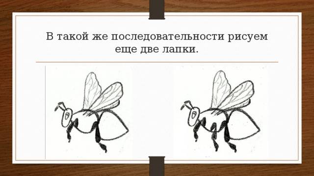 Презентация к уроку ИЗО На цветочном лугу