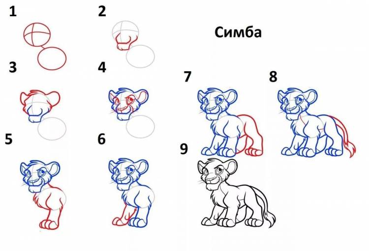 Симба рисунок карандашом поэтапно