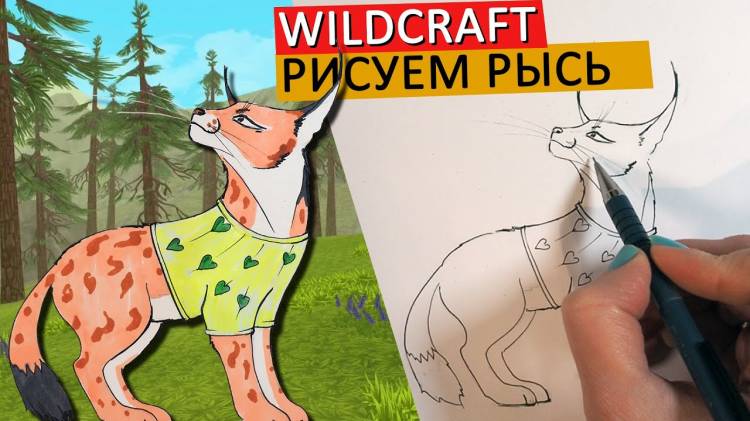 КАК НАРИСОВАТЬ РЫСЬ в стиле WILDCRAFT, простой способ