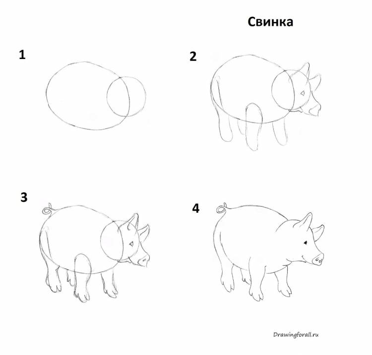 Свинка рисунок легкий