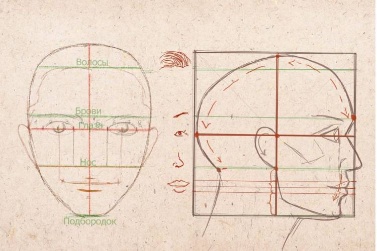Как рисовать человека