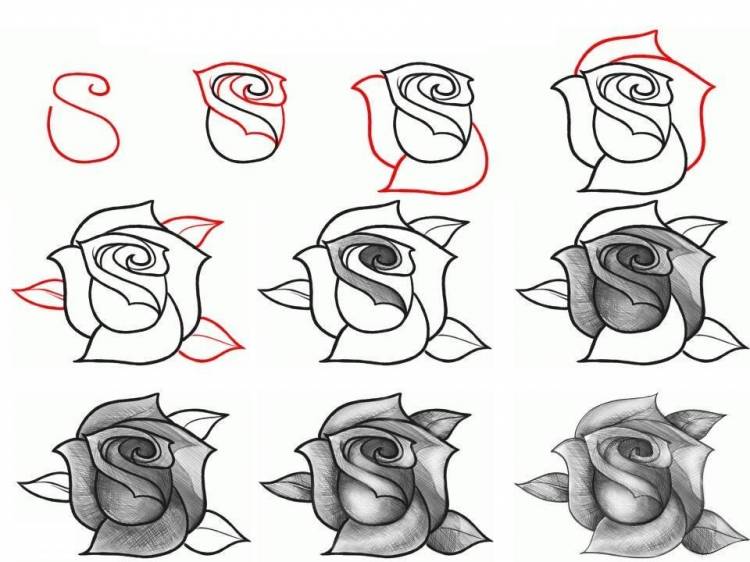 Красивые рисунки карандашом легкие и красивые для начинающих поэтапно 