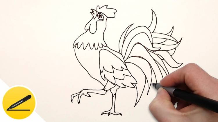 How to Draw a Rooster step by step easy for Kids ✓