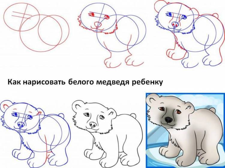 Как нарисовать медведя поэтапно карандашом