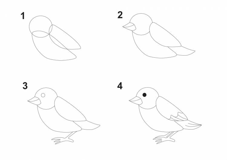 Рисунок воробья для детей поэтапно