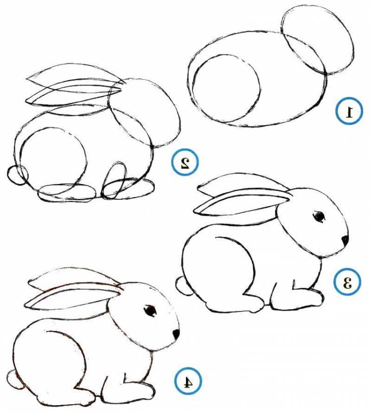 Раскраски поэтапно, Раскраска Поэтапно рисуем зайчика как нарисовать поэтапно животных