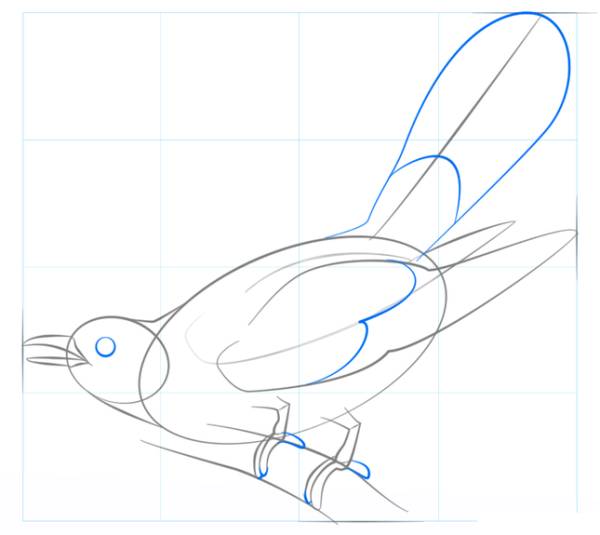 Идеи для срисовки кукушка для детей легко 