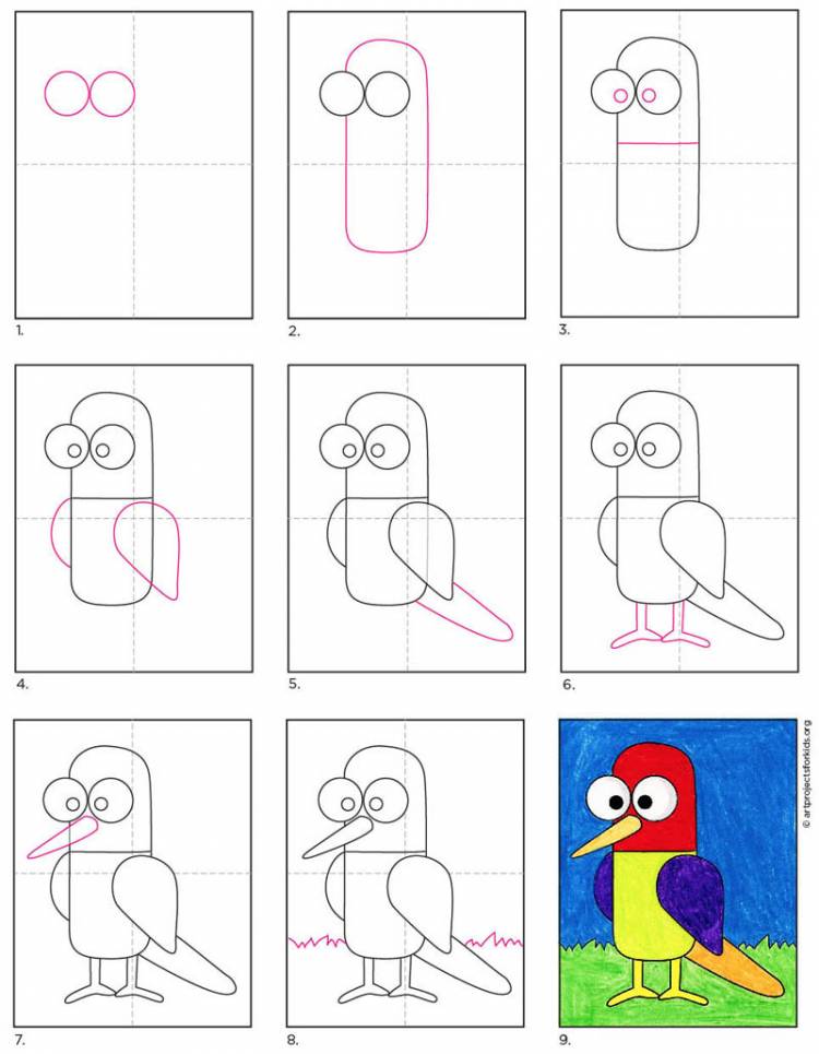 Поэтапное рисование попугая для детей (много фото!)