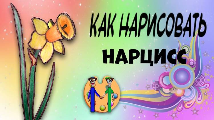 Как нарисовать нарцисс карандашом