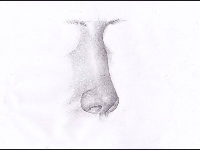 How to draw a nose