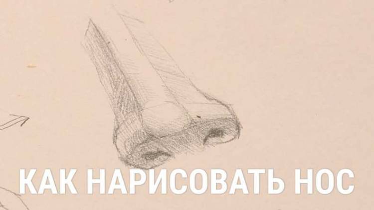 Как нарисовать нос человека карандашом