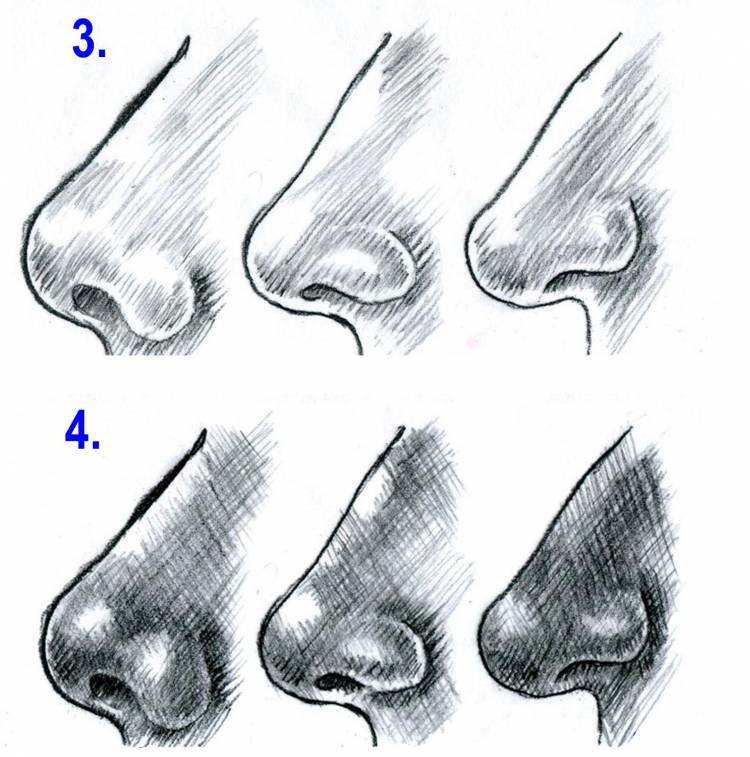 Как нарисовать носик 