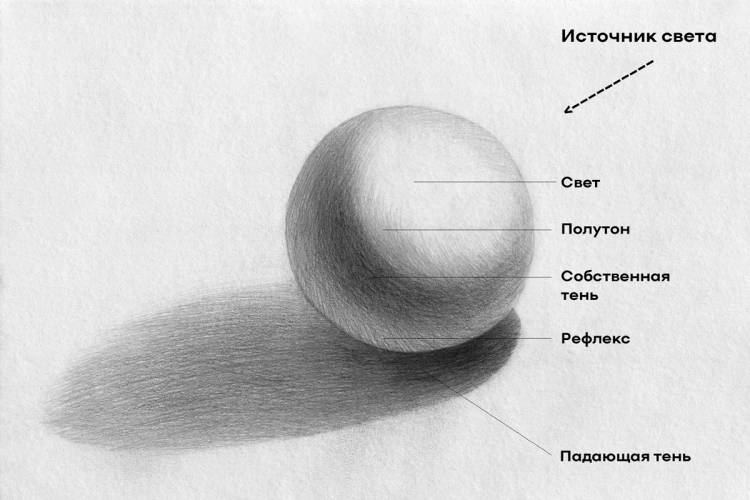 Как научиться красиво рисовать с нуля