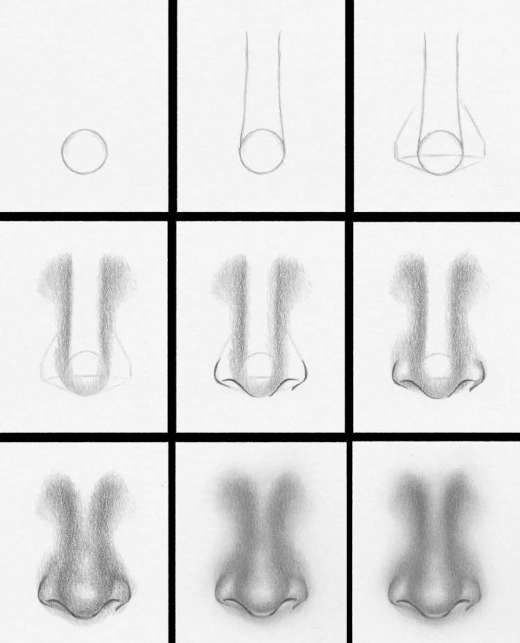 Рисунок нос человека карандашом