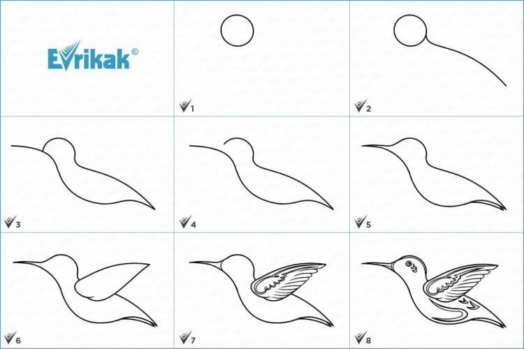 Птичка рисунок для детей поэтапно