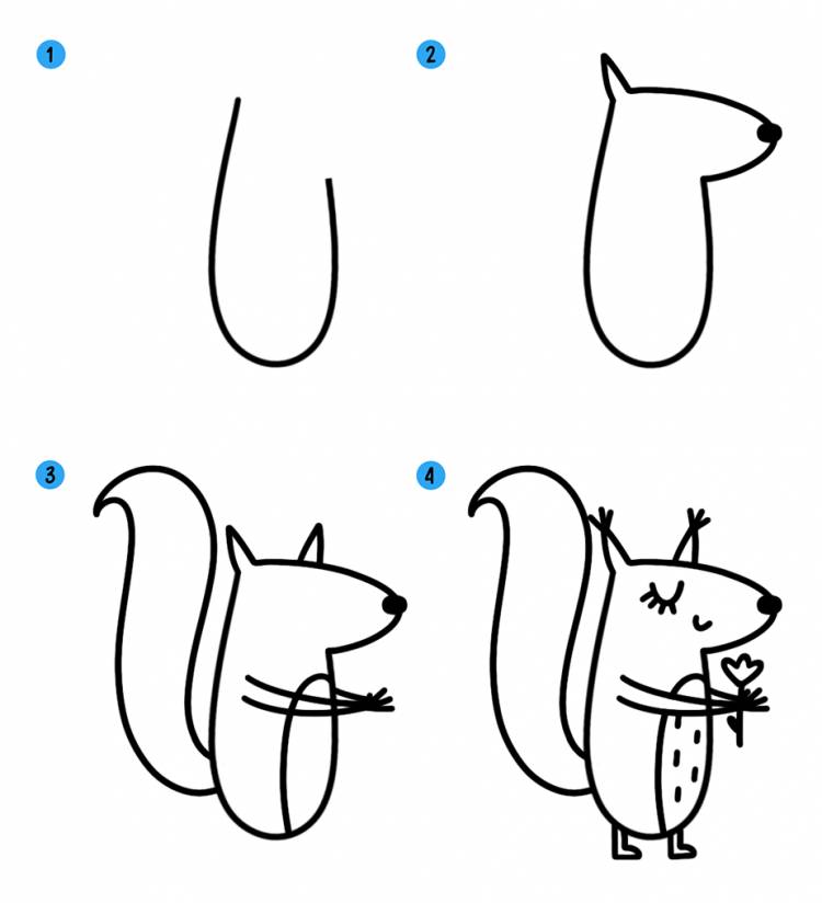 Как нарисовать белку поэтапно для начинающих » рисуем белочек легко и просто карандашом и красками