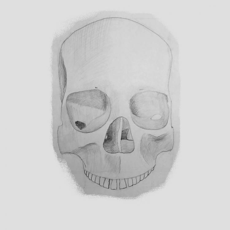 Рисую черепа