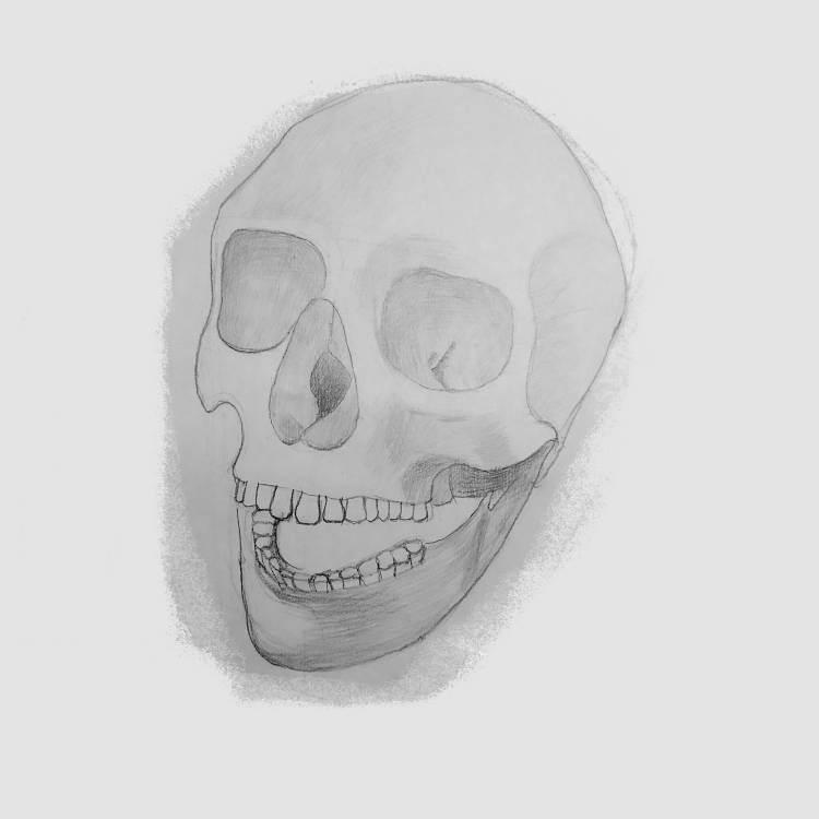 Рисую черепа