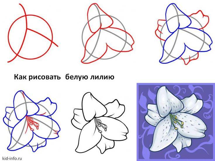 цветы пошагово