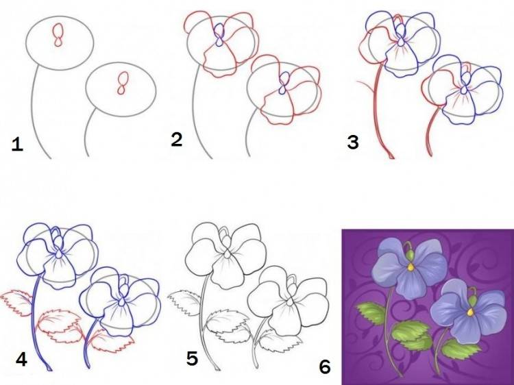 Как нарисовать цветы поэтапно